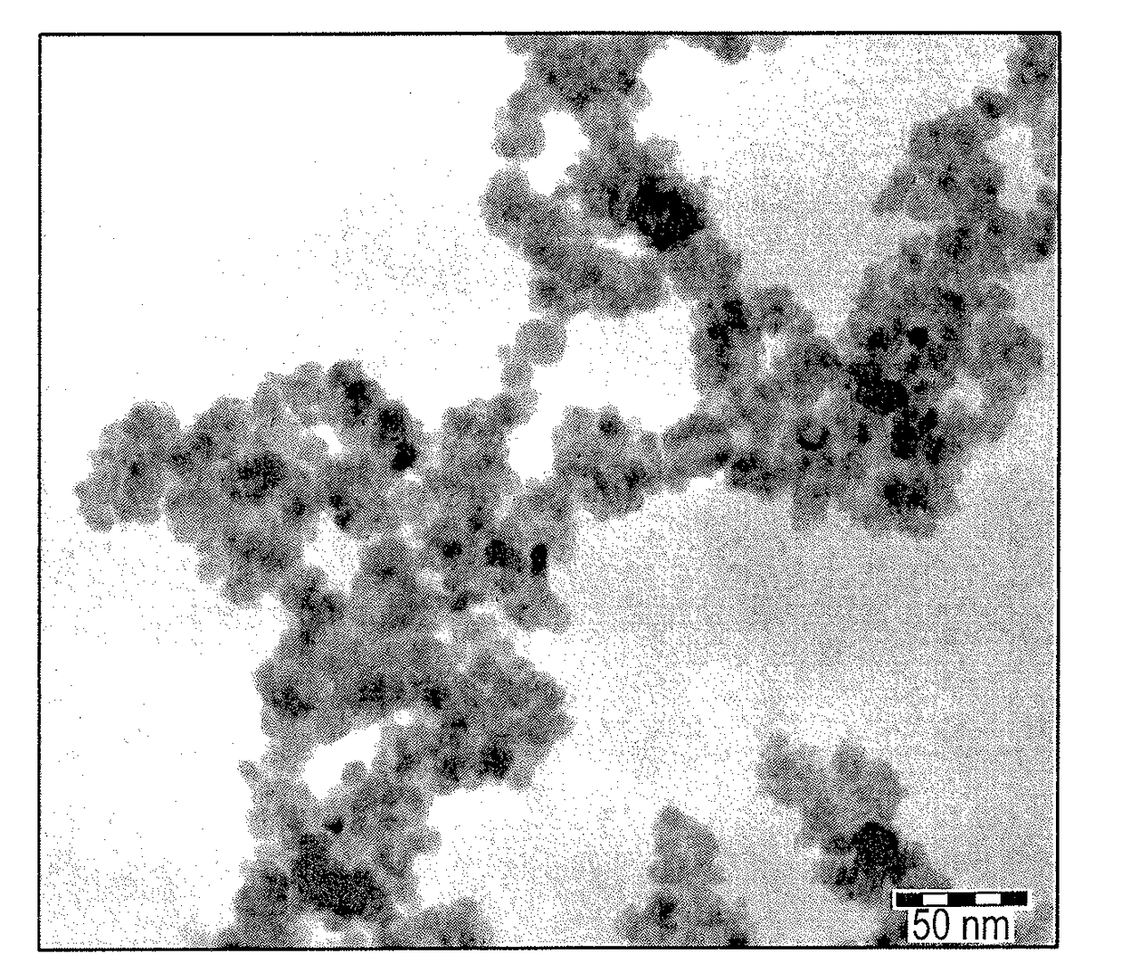 Biosynthesized magnetic metal nanoparticles for oil spill remediation