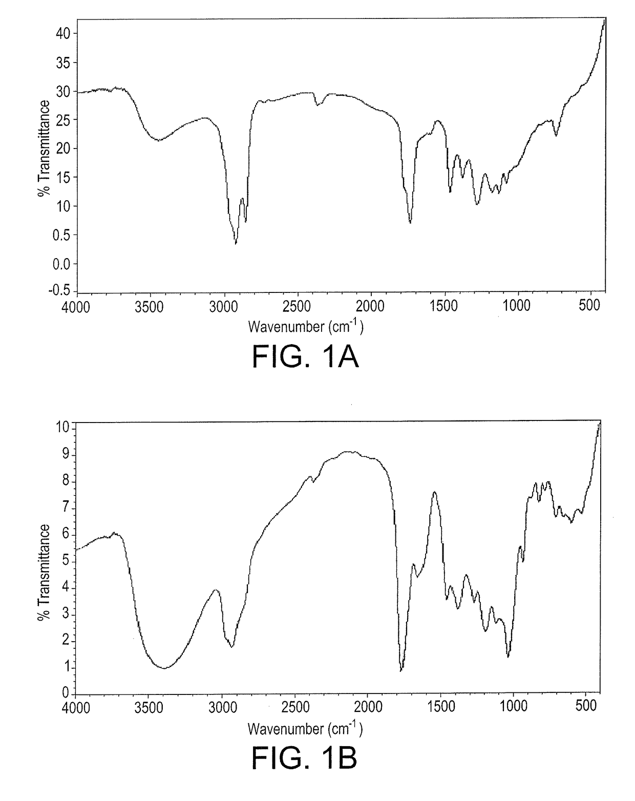 Biosynthesized magnetic metal nanoparticles for oil spill remediation