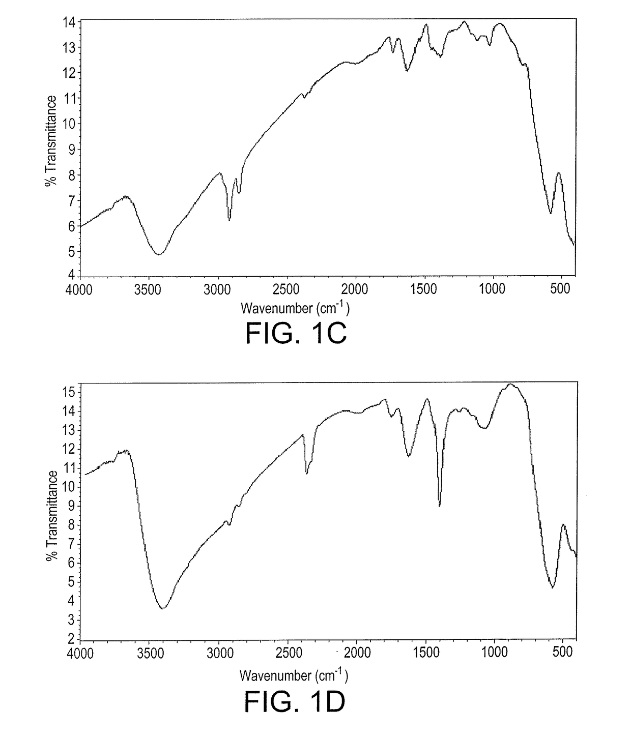 Biosynthesized magnetic metal nanoparticles for oil spill remediation