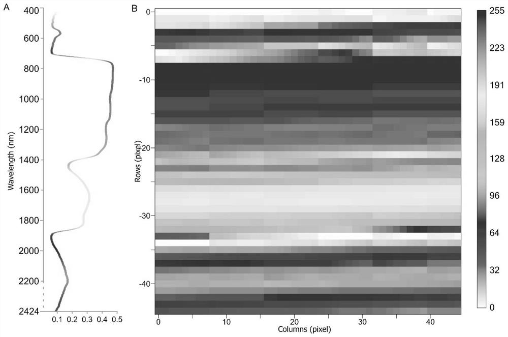 Plant species identification method, system and device and storage medium