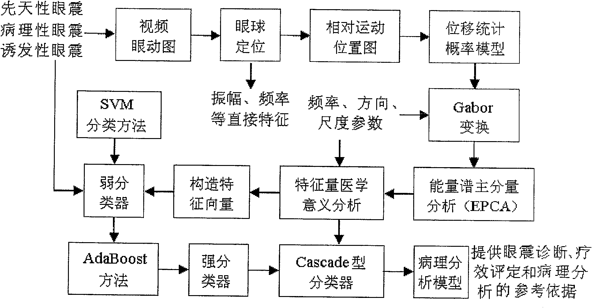 Statistical analysis process of nystagmus displacement vector