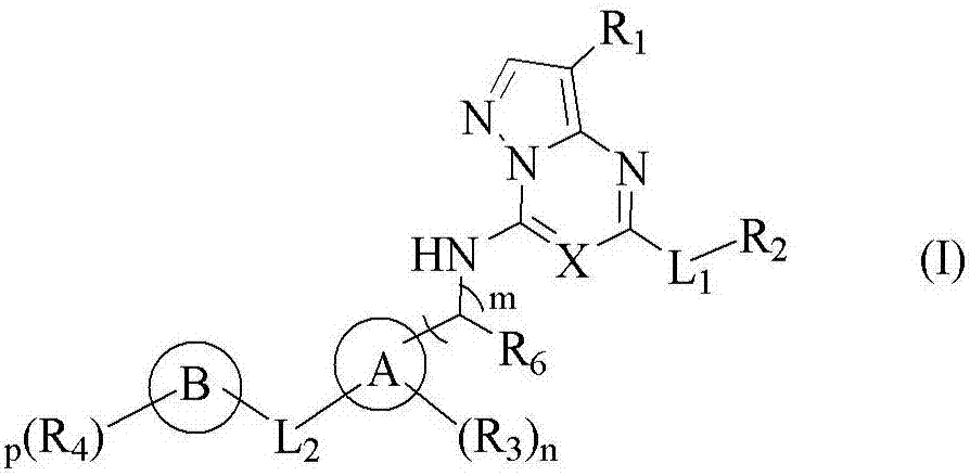 Pyrazolo[1,5-a][1,3,5]triazine and pyrazolo[1,5-a]pyrimidine derivatives as CDK inhibitors