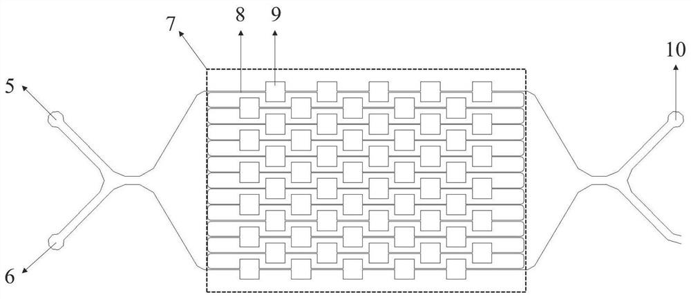 A tumor cell detection chip based on microfluidic technology