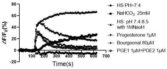 High-throughput method for judging human sperm quality by detecting calcium signal