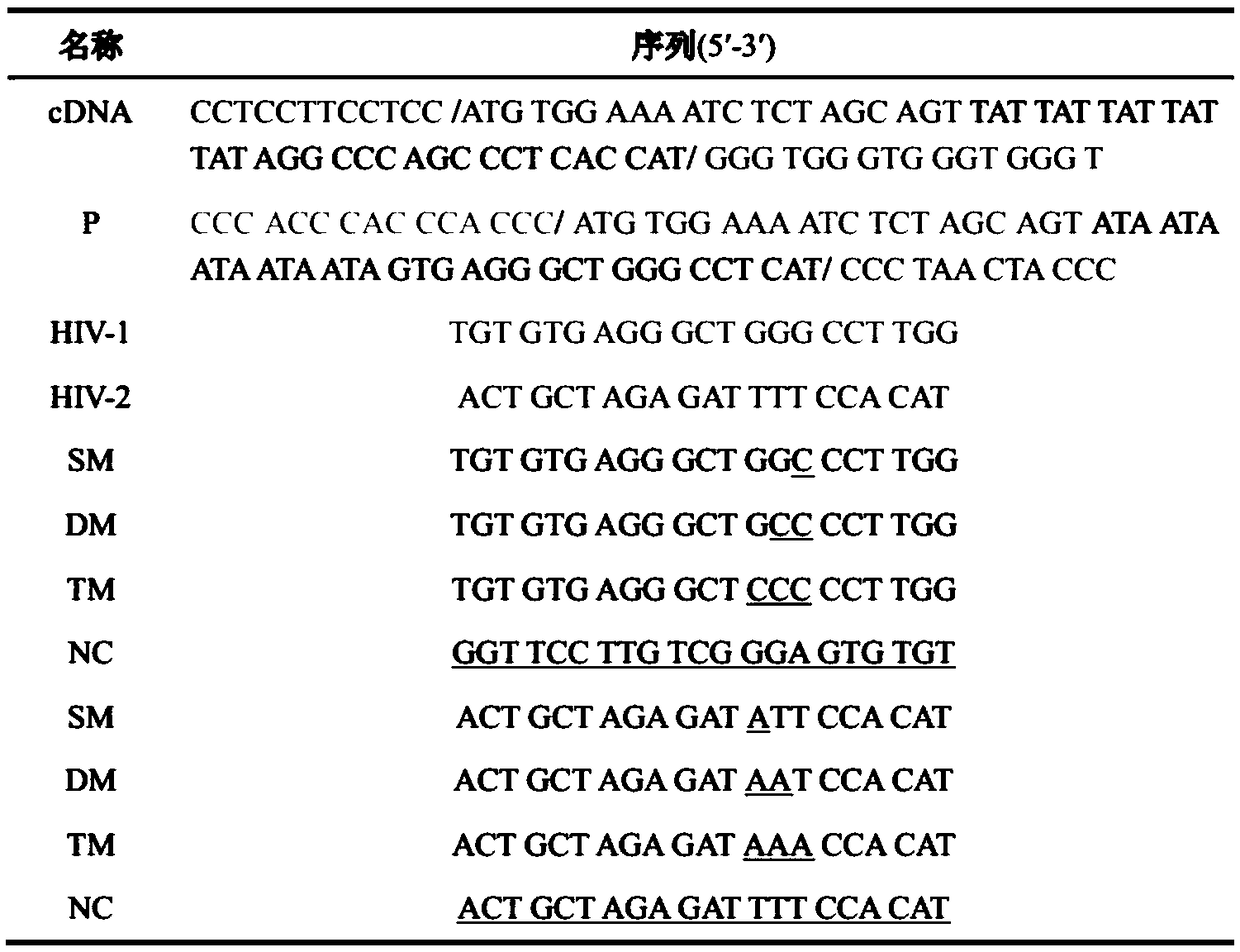 Method for simultaneously detecting two types of HIV DNA through DNA-directed color-variable silver nano-clusters