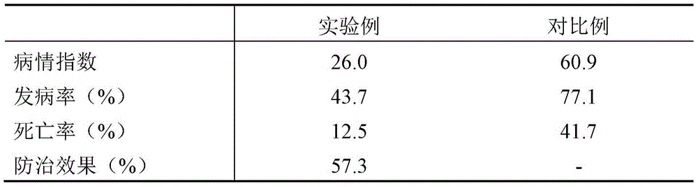 Serratia marcescens strain and application thereof