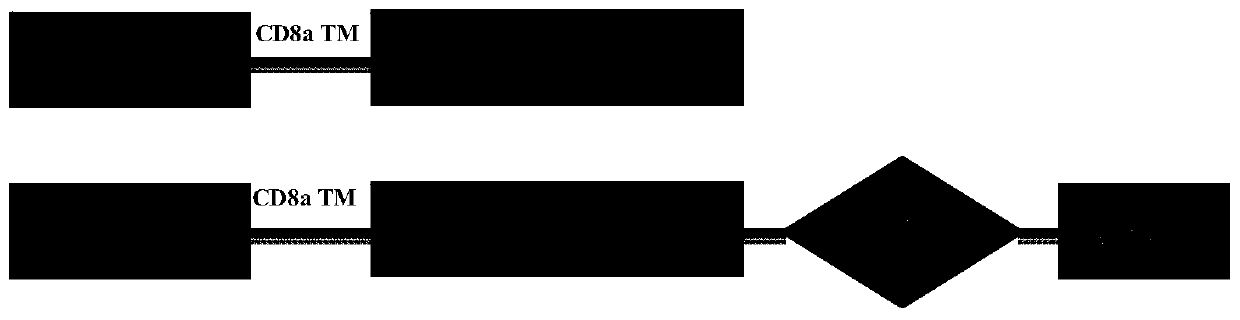 Chimeric antigen receptor (CAR) gene for expressing soluble PD-1, and application of CAR gene