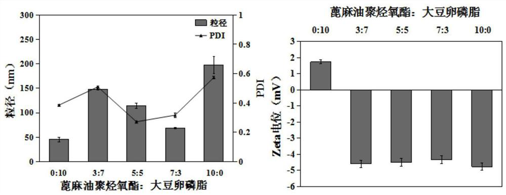 Phenylethyl resorcinol nanostructure lipid carrier, preparation method and application in cosmetics