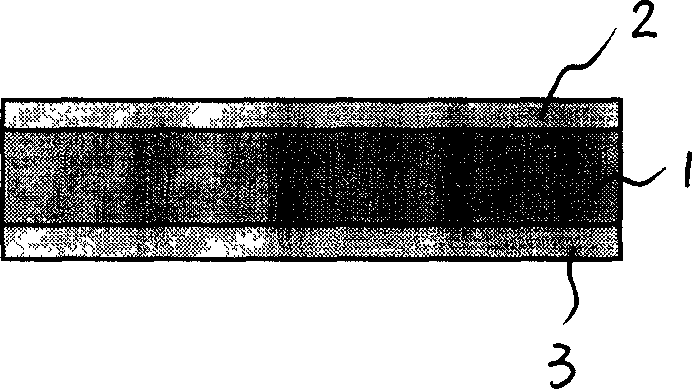 Method for preparing single-layer capacitor element and its products