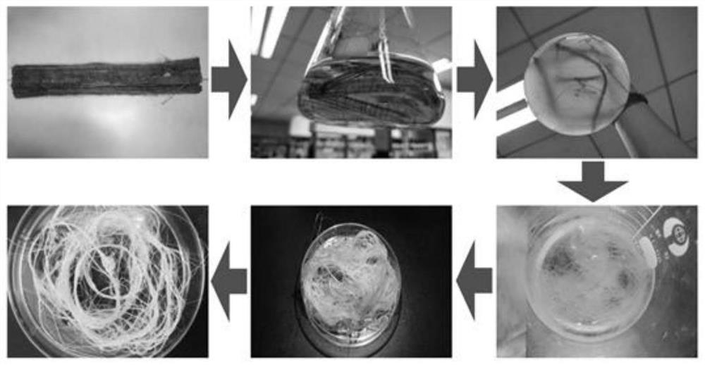 Gene recombinant plasmid, gene recombinant pichia pastoris and straw fiber degumming application