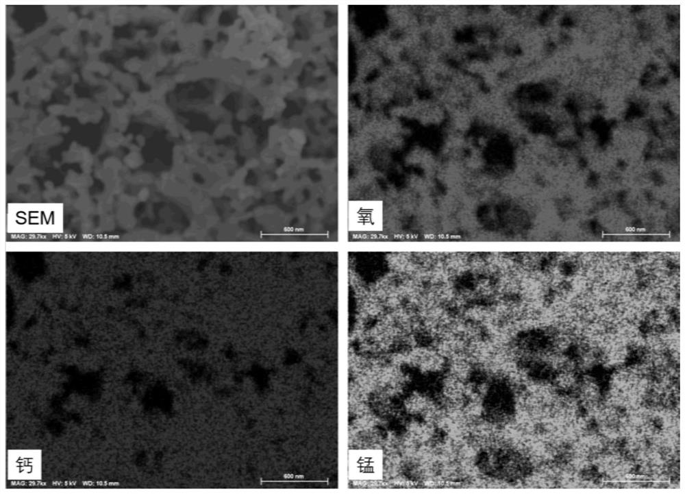 CaMnO3 type perovskite material as well as preparation method and application thereof