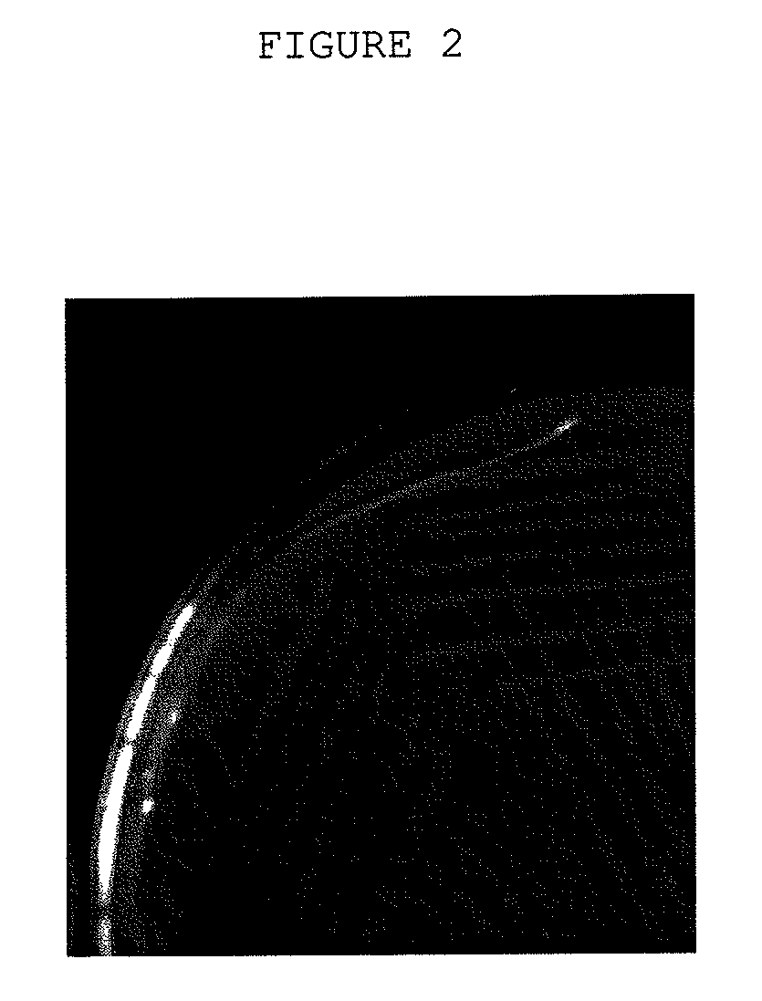 S-triazine-herbicide-degrading bacteria, product for the bioremediation and method of bioremediation