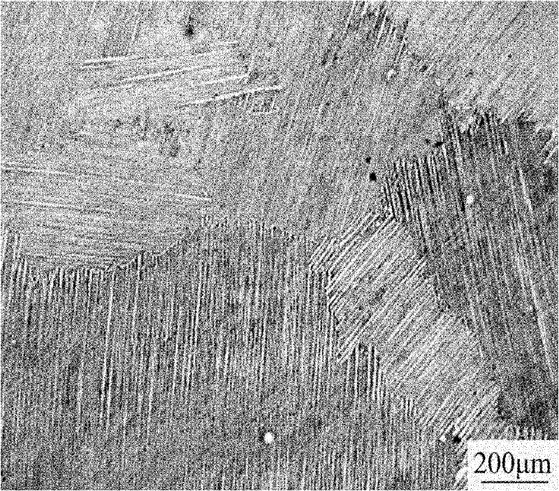 Method for refined and directional solidification of titanium aluminium alloy slab surface structure