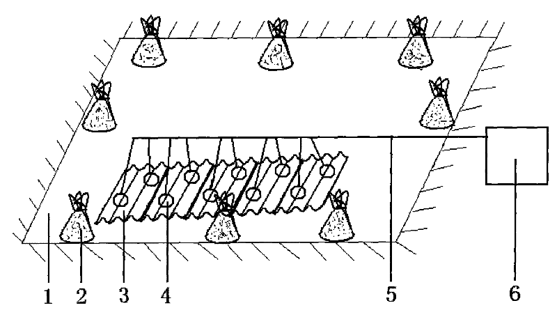 Large-scale cultivation method for summer fingerlings of Pelteobagrus fulvidraco