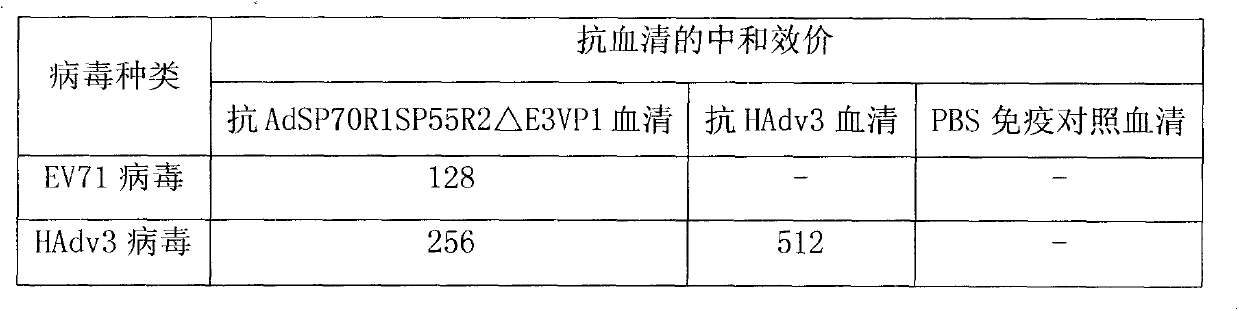 Recombinant human adenovirus 3, and preparation method and application thereof