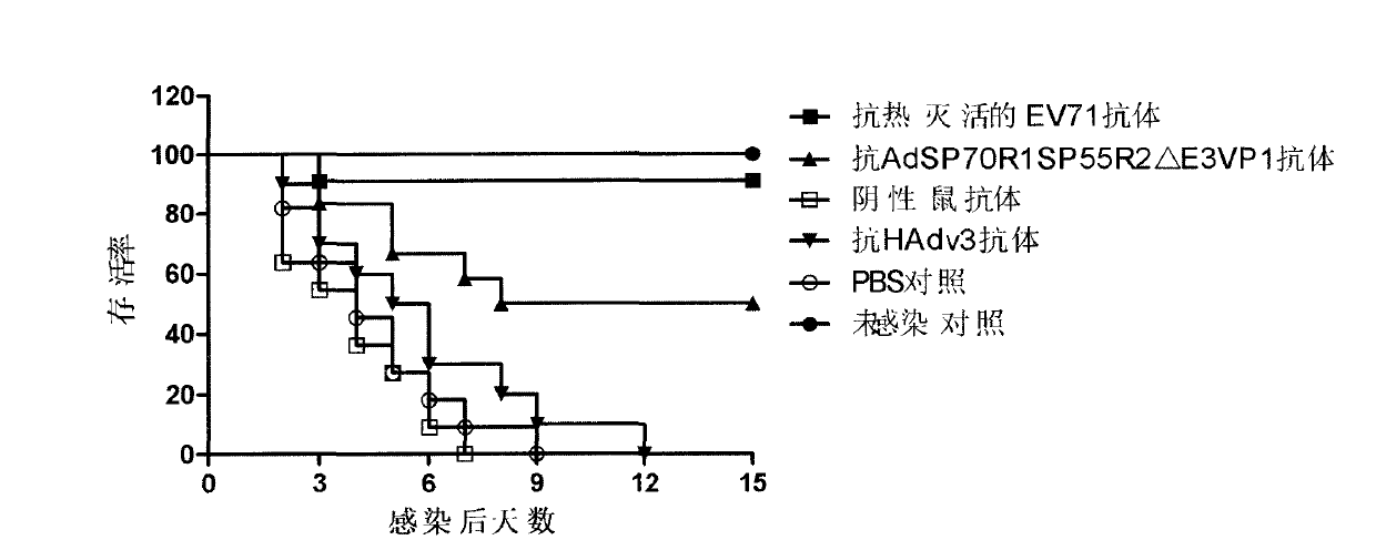 Recombinant human adenovirus 3, and preparation method and application thereof