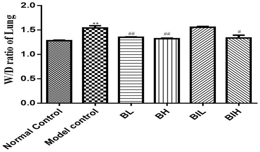 Application of non-oral berberine