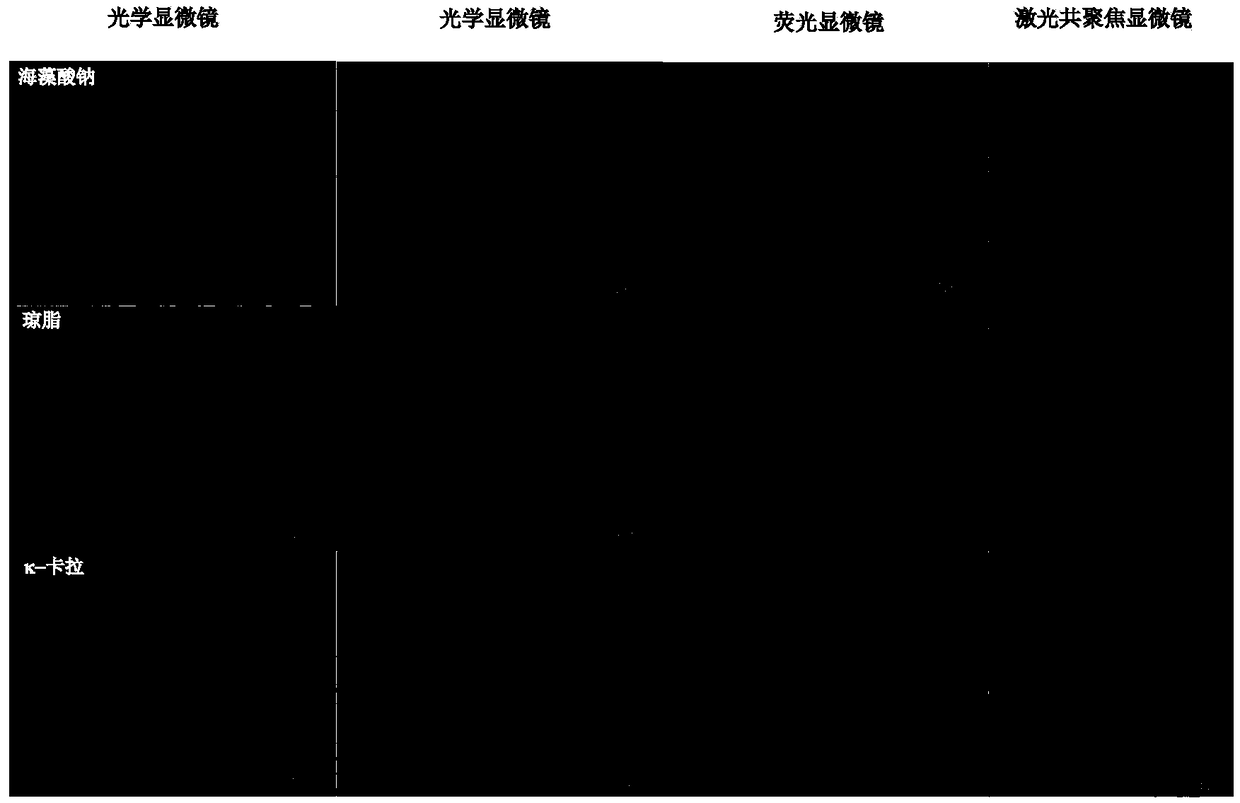 Method for preparation of core-shell structure microcapsule based on gel network limited anti-solvent technique