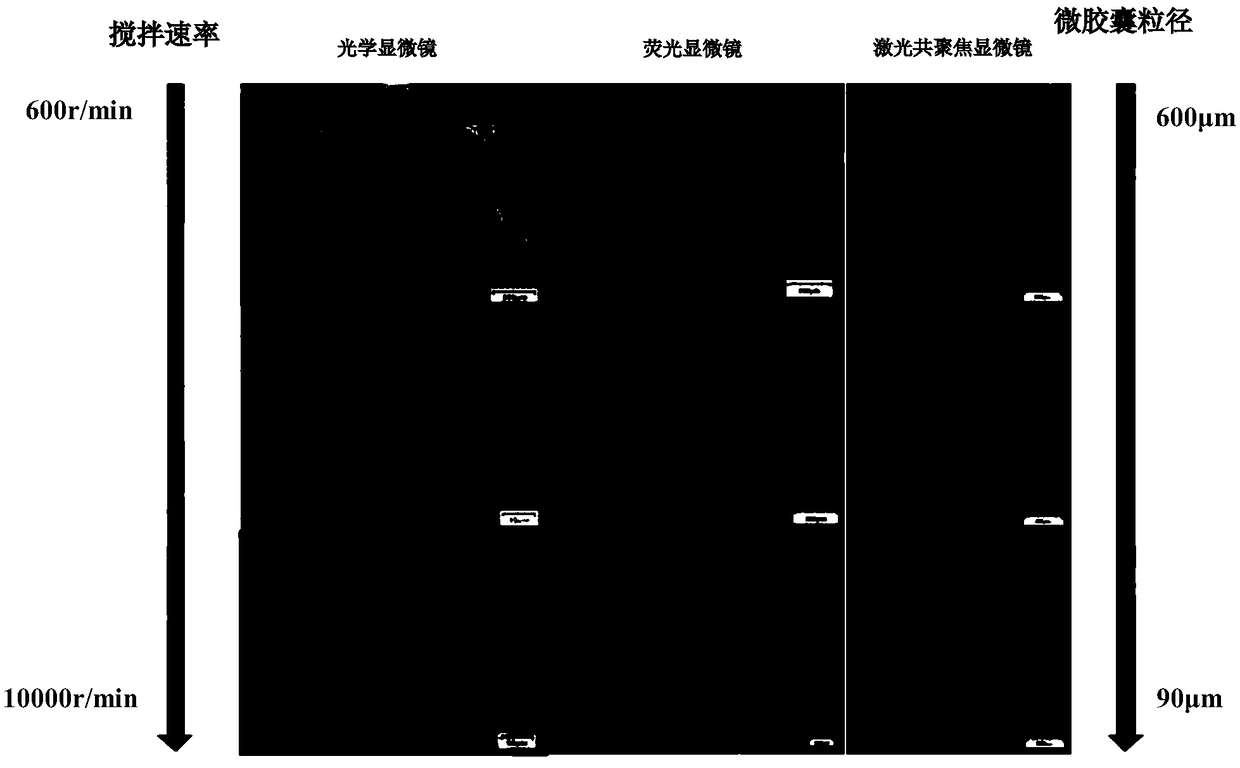 Method for preparation of core-shell structure microcapsule based on gel network limited anti-solvent technique