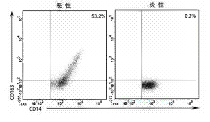 Method for identifying malignant pleural effusion