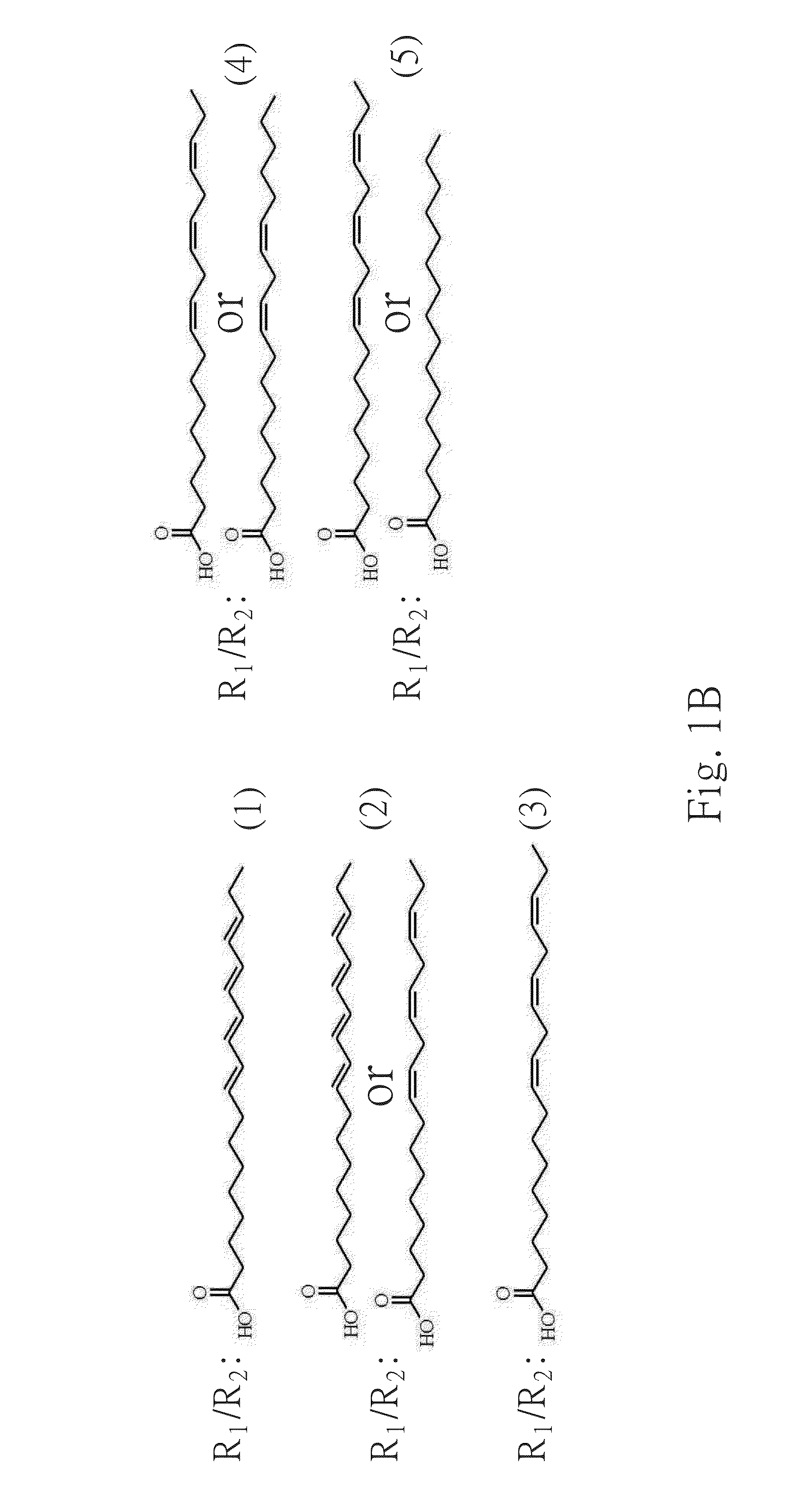 Galactolipids-Enriched Plant Extracts And The Uses Thereof