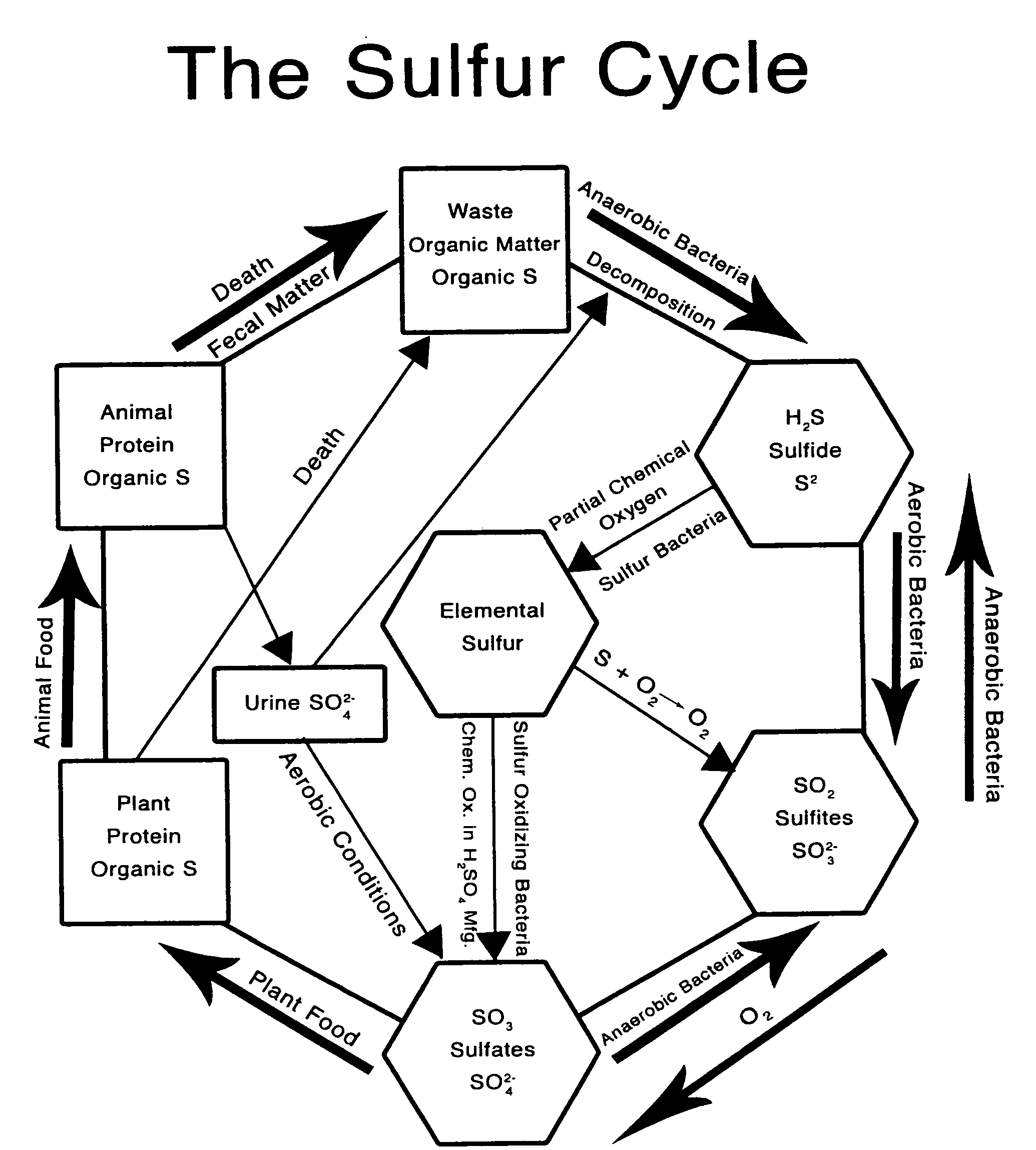 Carbon sequestration method