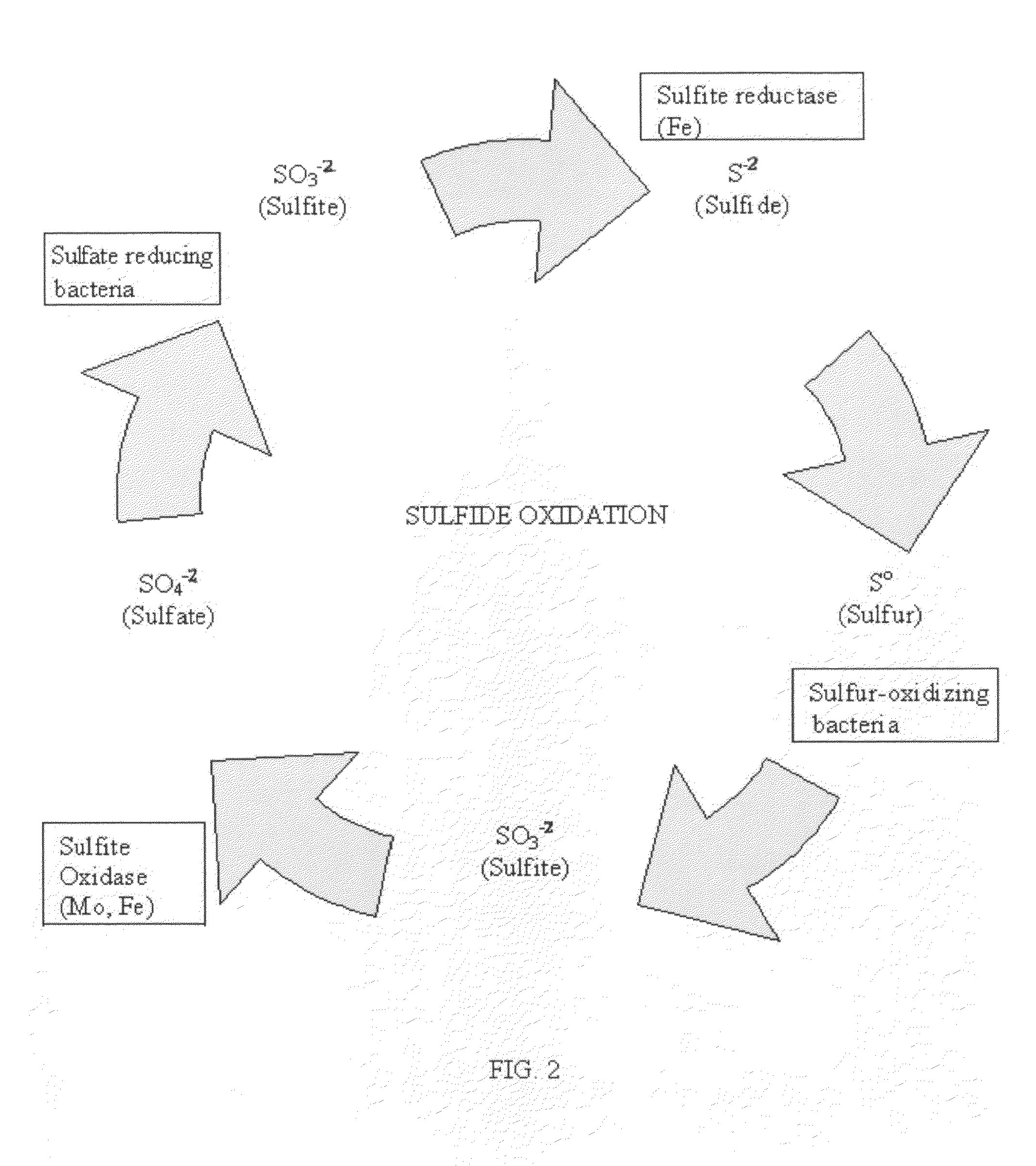 Carbon sequestration method