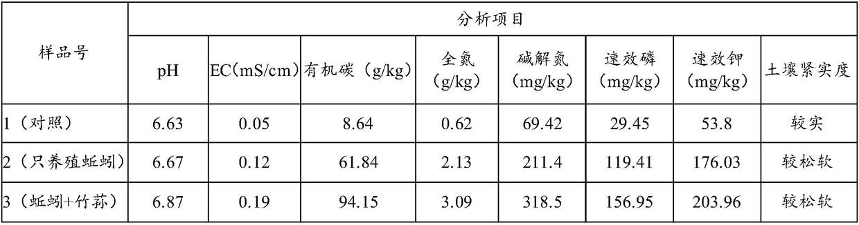 Under-forest agricultural circulation system