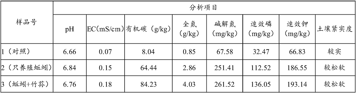 Under-forest agricultural circulation system