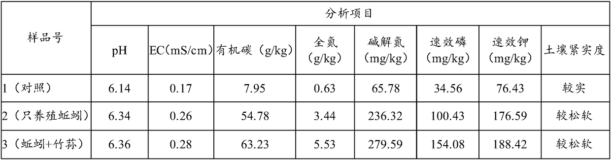 Under-forest agricultural circulation system