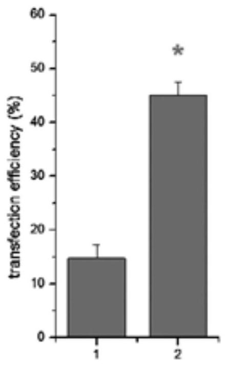 Efficient electrotransfection method for HEK293F suspension cells