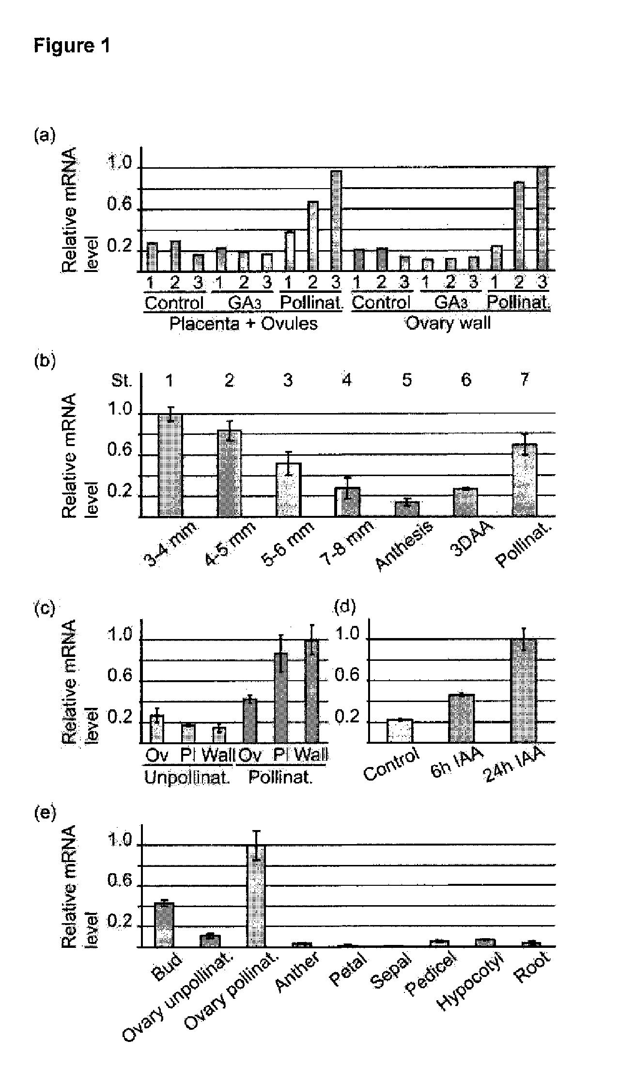 Plants with Increased Fruit Size