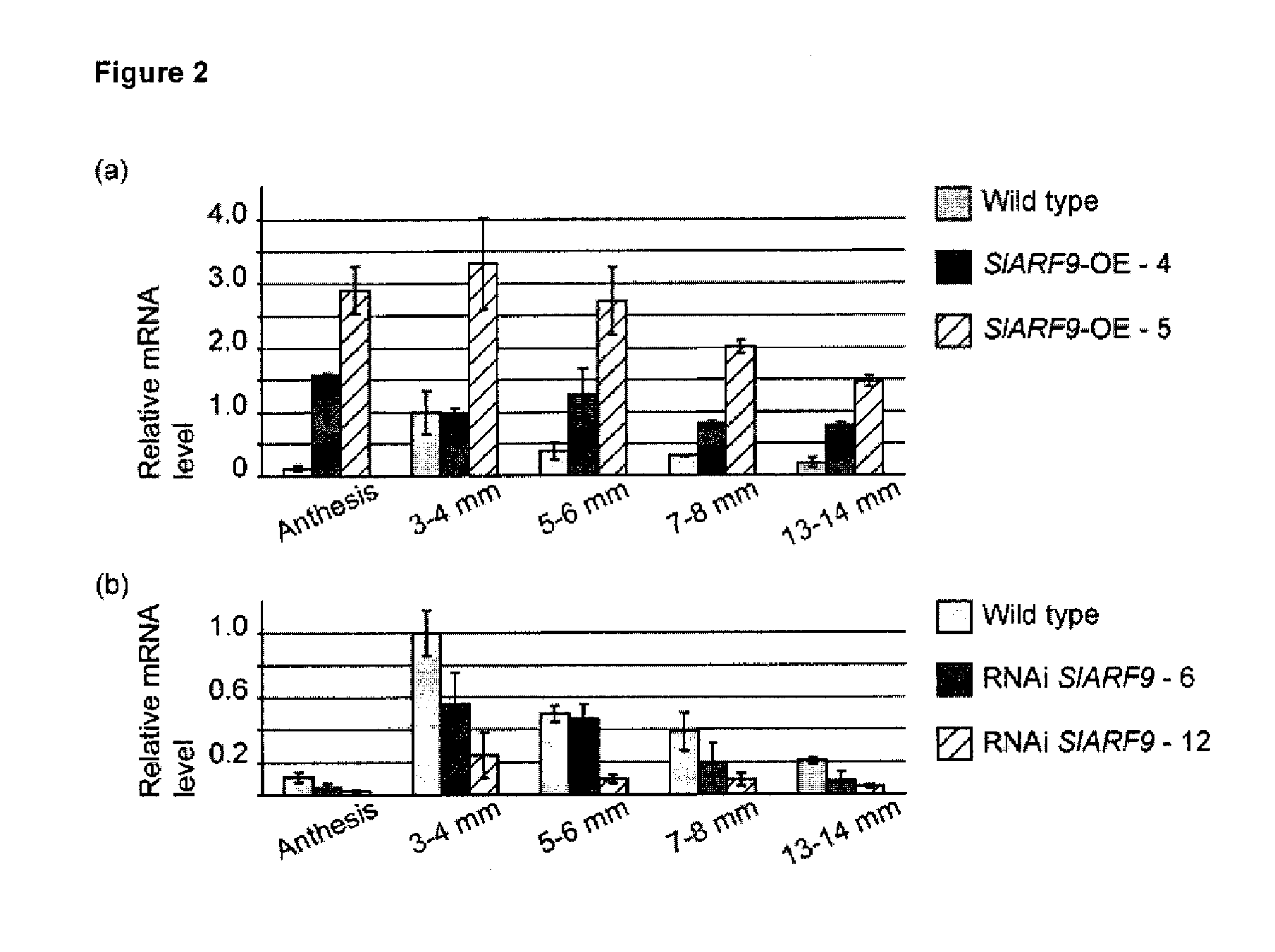 Plants with Increased Fruit Size