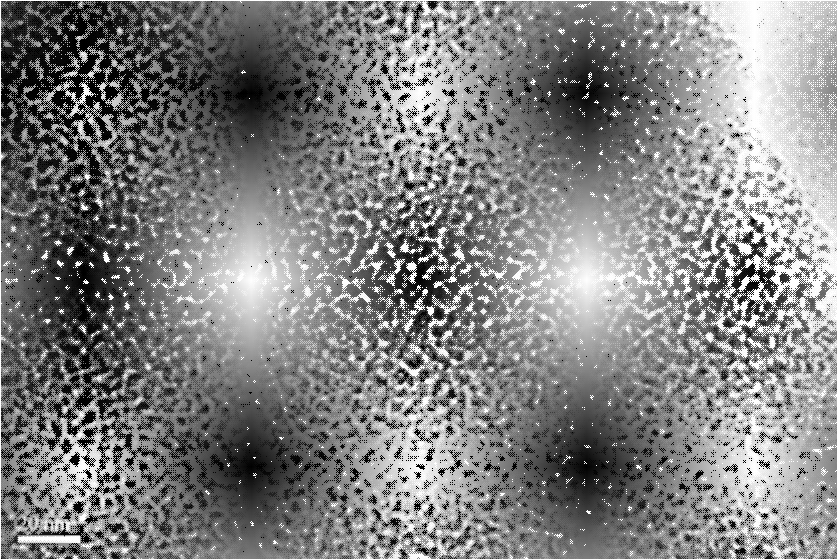 A camphorsulfonamide-doped ethane bridge spherical mesoporous silica gel