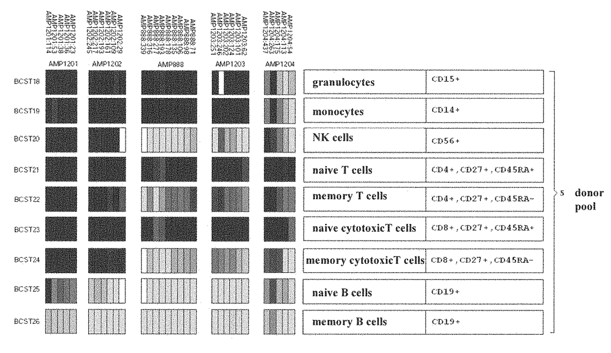 Detection of immune cells, in particular T cells through DNA-methylation analysis of the genes <i>CCR6 </i>and <i>BLR1</i>