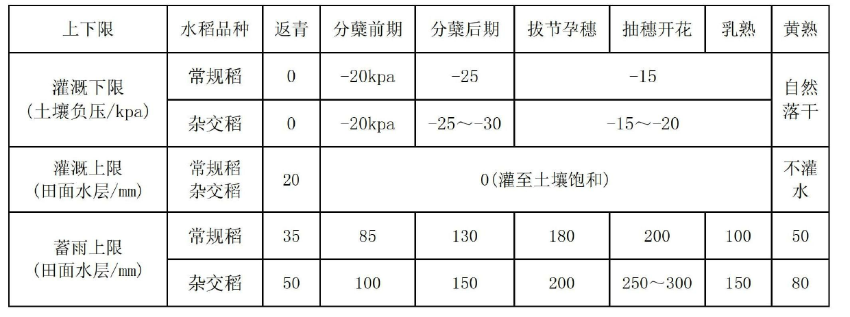 Method for irrigating rice by appropriately utilizing rainwater