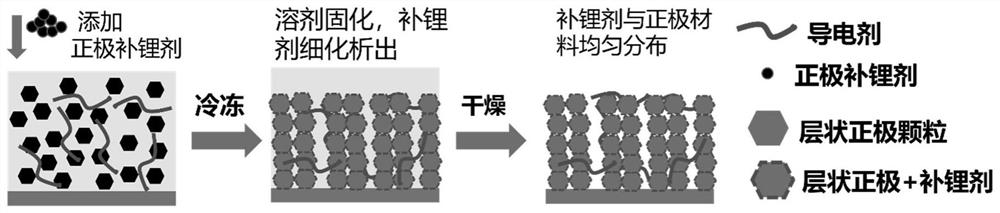 Freeze-drying-based lithium ion battery positive electrode lithium supplementing method and product