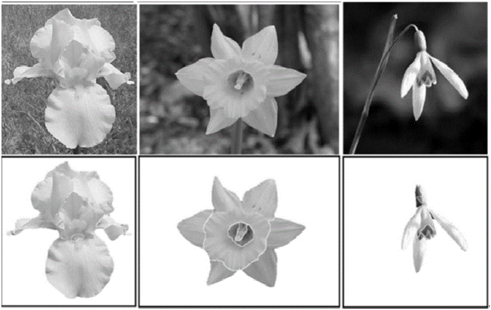 Cooperation segmentation method fusing perception information