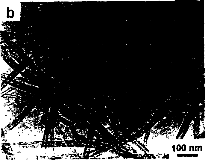 Carbon micromillimeter tube loading cerium dioxide micromillimete particles and method for making the same