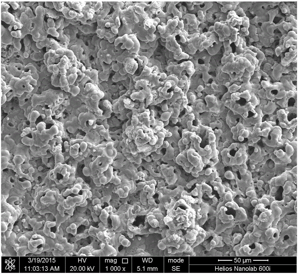 Preparation method and application of efficient Fe3O4/FeAlO4 composite coating Fenton-like catalyst