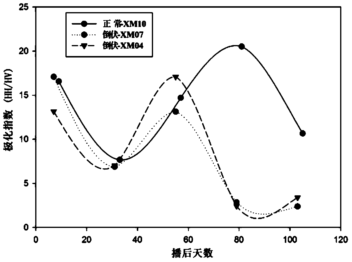 Device and method of using radar remote sensing data for monitoring wheat lodging