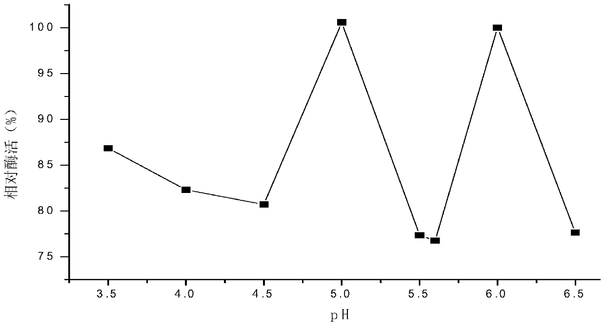 High xylanase yield Aspergillus niger and application thereof