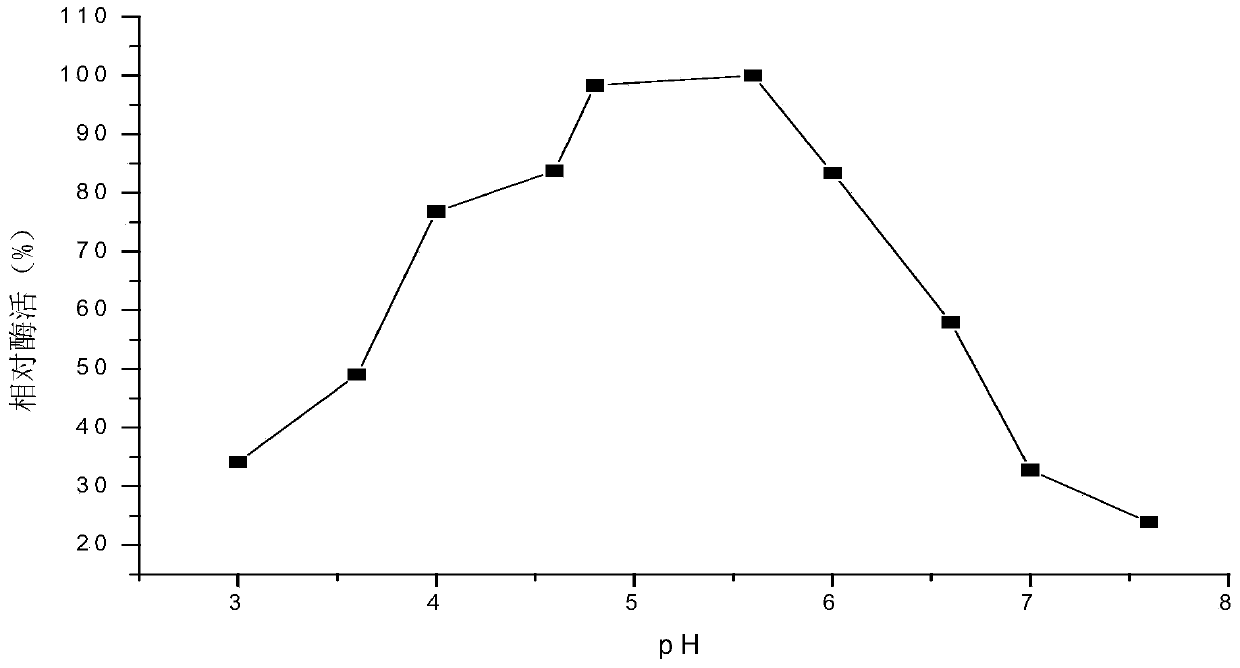 High xylanase yield Aspergillus niger and application thereof