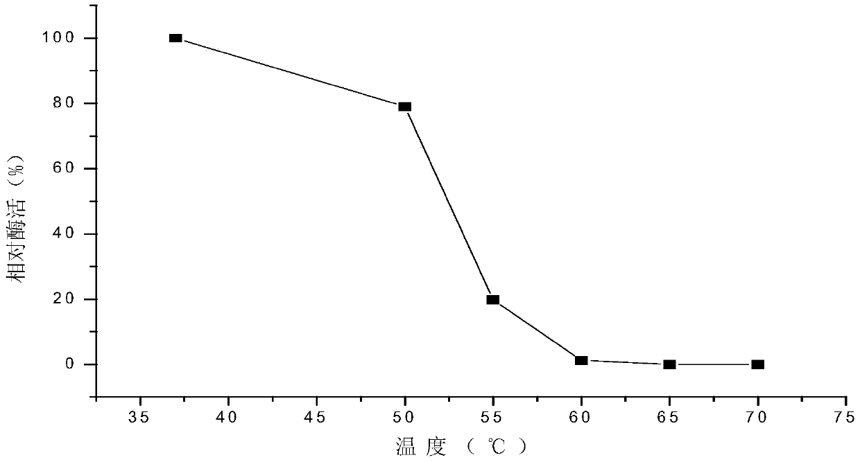 High xylanase yield Aspergillus niger and application thereof