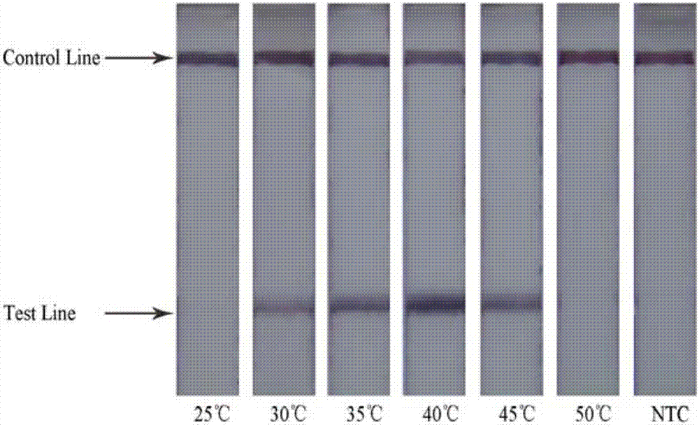 Detection method of food-borne pathogenic bacteria salmonella