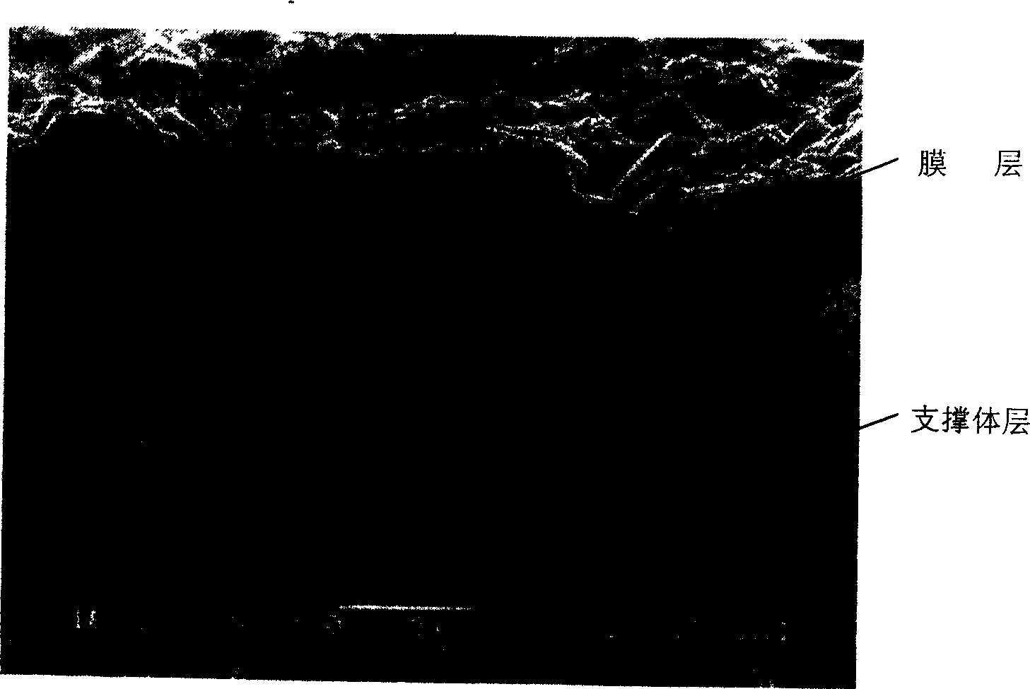 Preparation method of high performance permeation evaporation permeable membrane