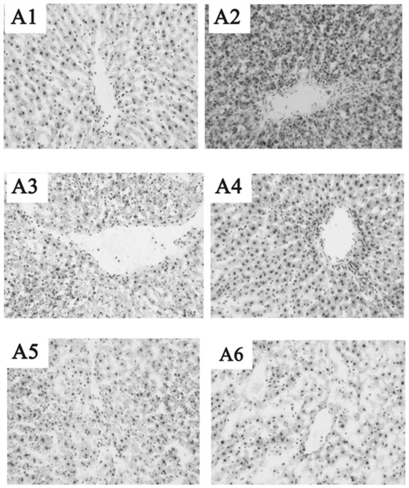 Preparation method and application of didymin