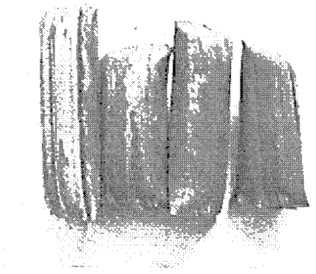 Analytical method for single substance calcium in core-spun calcium line