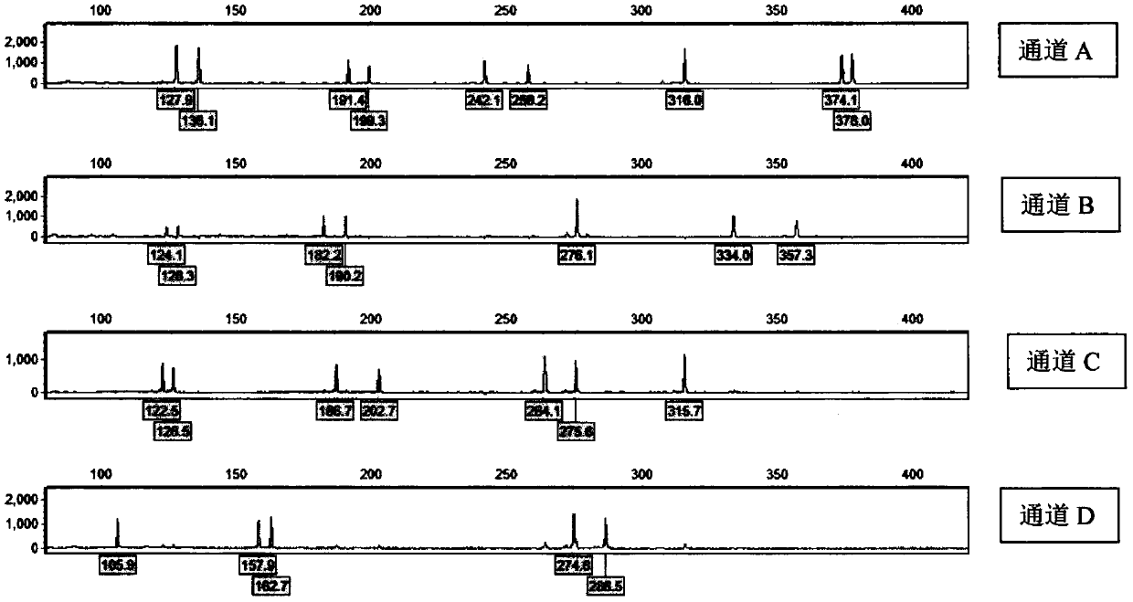 Kit and using method thereof