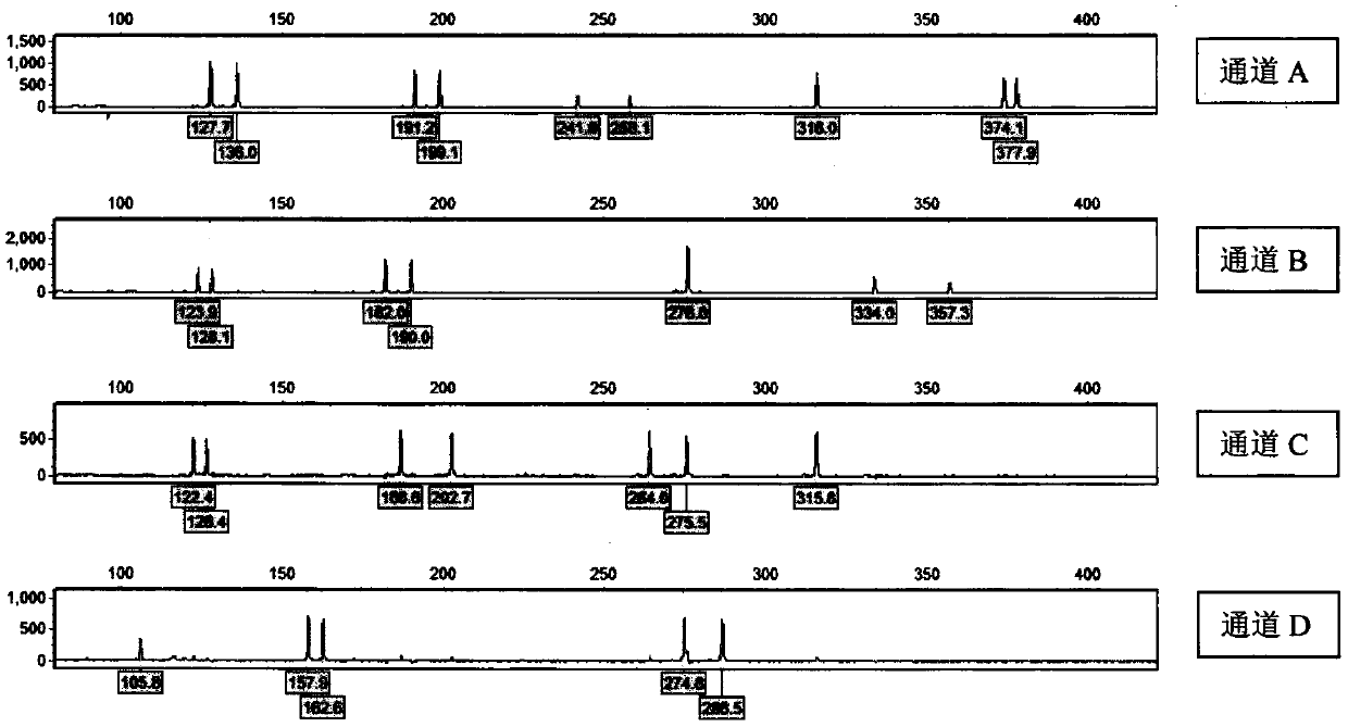 Kit and using method thereof